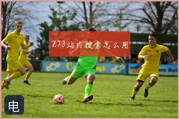 Z73站内搜索怎么用