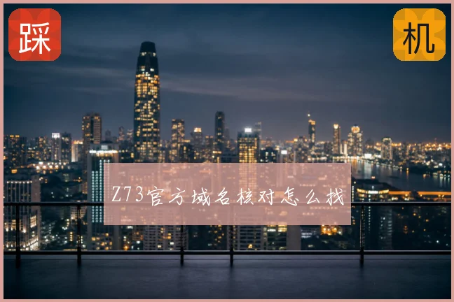 Z73官方域名核对怎么找