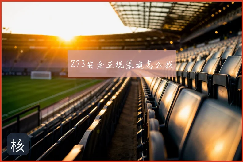 Z73安全正规渠道怎么找