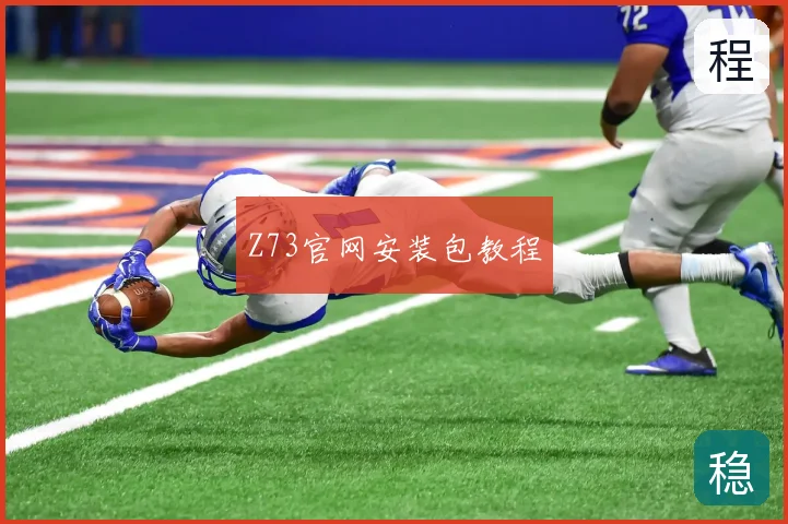 Z73官网安装包教程