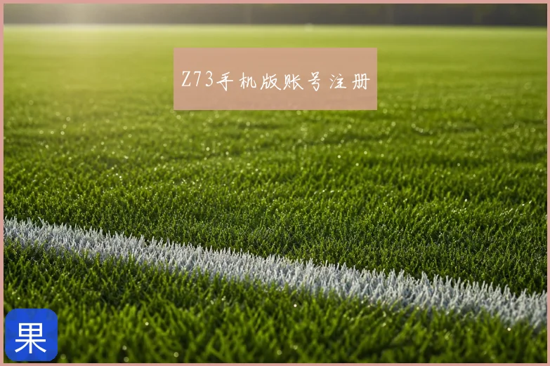 Z73手机版账号注册