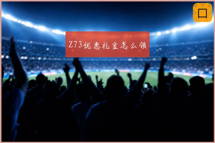 Z73优惠礼金怎么领
