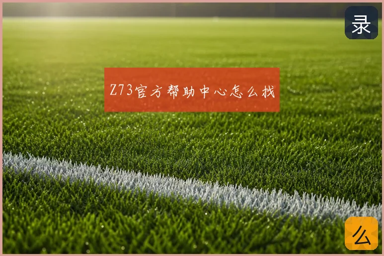 Z73官方帮助中心怎么找